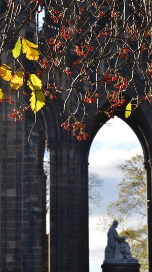 Image-preview_300x200