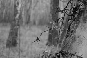 Image-preview_300x200