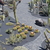 Image-square_50