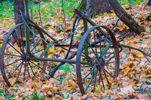 Image-preview_300x200