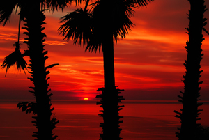 Image-preview_300x200