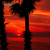 Image-square_50