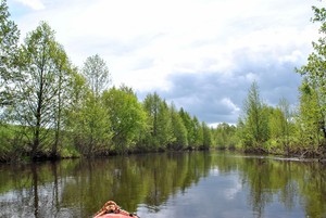 Image-preview_300x200