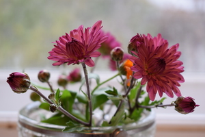 Image-preview_300x200