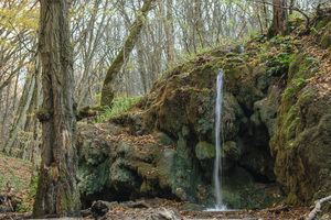 Image-preview_300x200