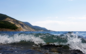 Image-preview_300x200