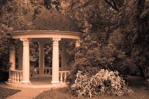 Image-preview_300x200