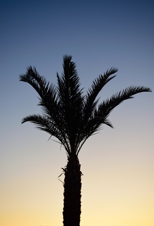 Image-preview_300x200