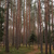 Image-square_50