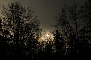 Image-preview_300x200