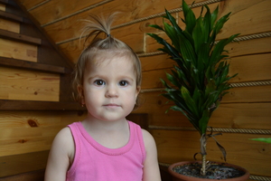 Image-preview_300x200