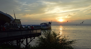 Image-preview_300x200