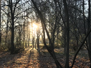 Image-preview_300x200