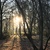 Image-square_50
