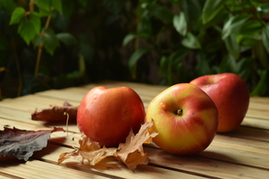 Image-preview_300x200