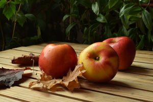 Image-preview_300x200