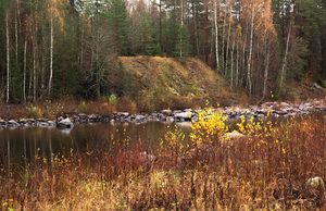 Image-preview_300x200