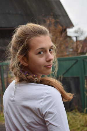 Image-preview_300x200