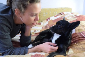 Image-preview_300x200