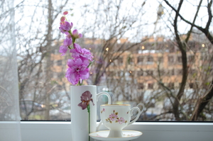 Image-preview_300x200