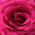 Image-square_50