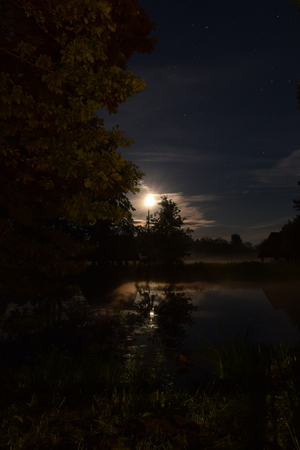 Image-preview_300x200