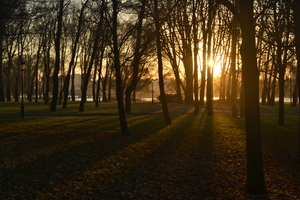 Image-preview_300x200