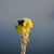 Image-square_50