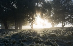 Image-preview_300x200