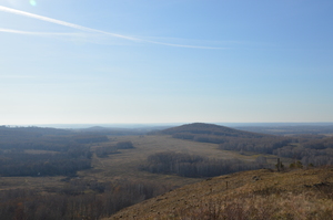 Image-preview_300x200