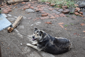 Image-preview_300x200