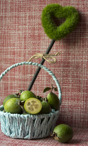 Image-preview_300x200