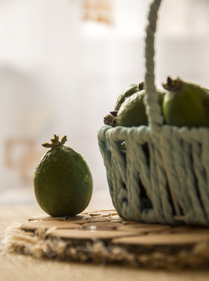 Image-preview_300x200