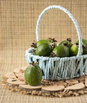 Image-preview_300x200