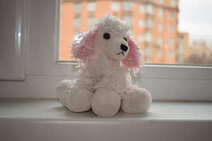 Image-preview_300x200