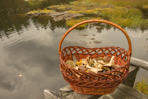 Image-preview_300x200