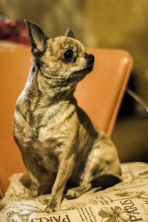 Image-preview_300x200