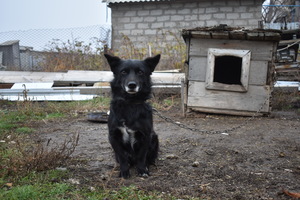 Image-preview_300x200