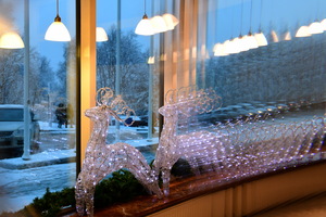 Image-preview_300x200