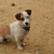 Image-square_50