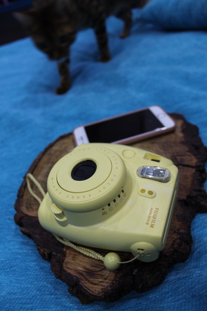 Image-preview_300x200