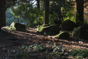 Image-preview_300x200