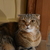 Image-square_50