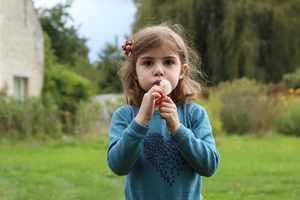 Image-preview_300x200