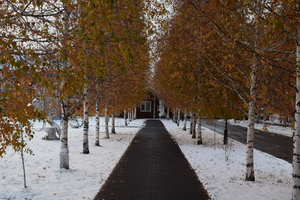 Image-preview_300x200