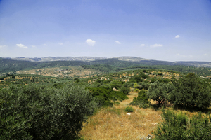 Image-preview_300x200