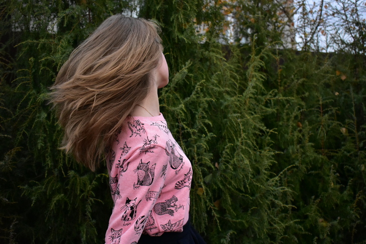 Image-normal