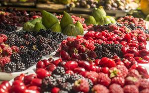 Image-preview_300x200