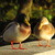 Image-square_50