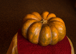 Image-preview_300x200